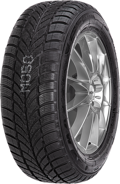 Maxxis WP-05 Arctictrekker 195/65 R14 93 T