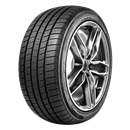 Radar Dimax 4 Season 295/35 R21 107 W XL