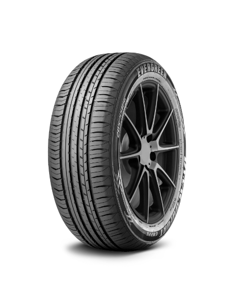 Evergreen DynaControl EH226 195/45 R16 84 W XL