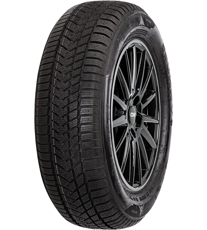 Sunny Wintermaxx NW211 225/55 R17 101 V XL