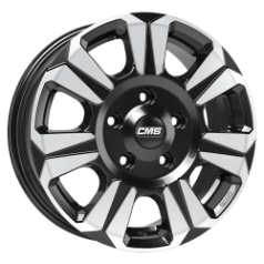 CMS C31 DB