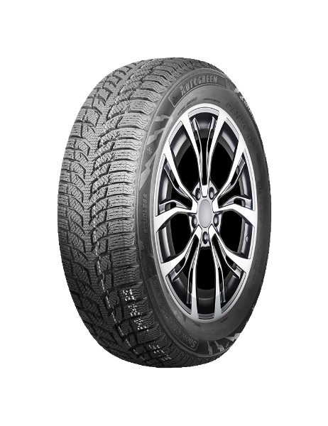 Autogreen Snow Chaser 2 AW08 205/55 R16 91 H
